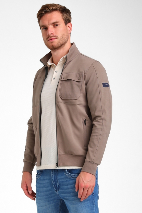 Gabbiano 425941